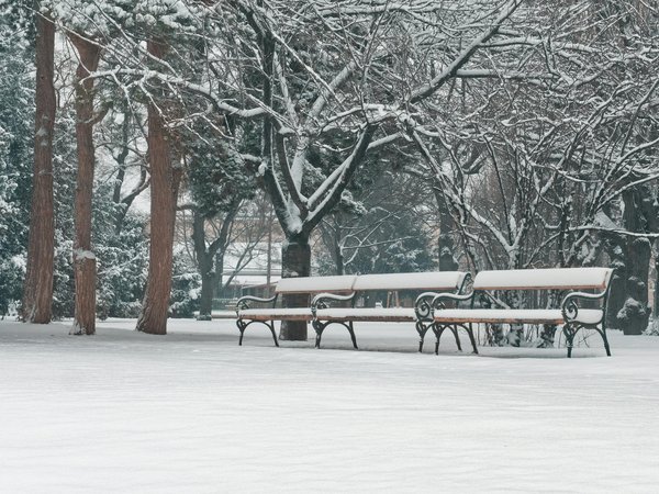 Quali spezie italiane possono esaltare il gusto delle pietanze?