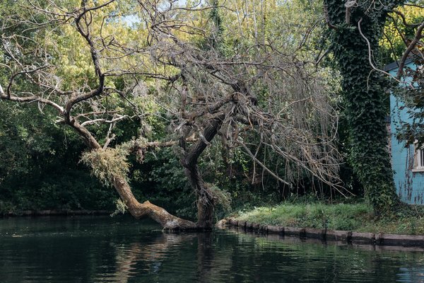 Come conservare la freschezza dei prodotti italiani?